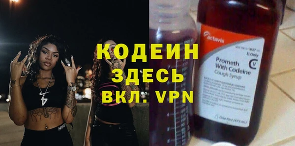 амф Анива