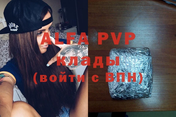 прущие грибы Апатиты