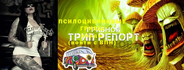 альфа пвп Лиски
