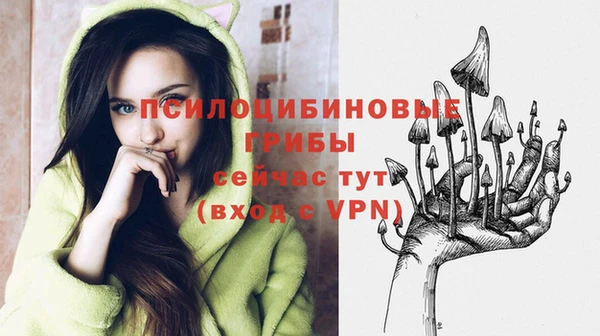 альфа пвп Лиски