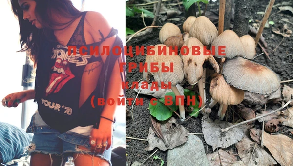 дживик Лихославль