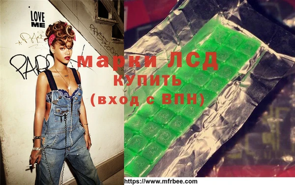 прущие грибы Апатиты