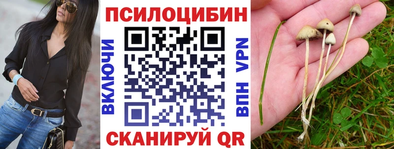 Галлюциногенные грибы Psilocybine cubensis  Феодосия 