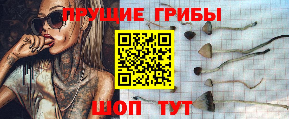 Галлюциногенные грибы Cubensis Феодосия