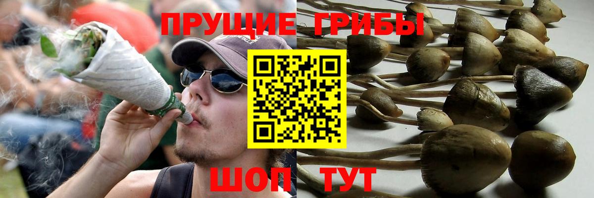 Галлюциногенные грибы Cubensis  Вход с VPN  Феодосия 